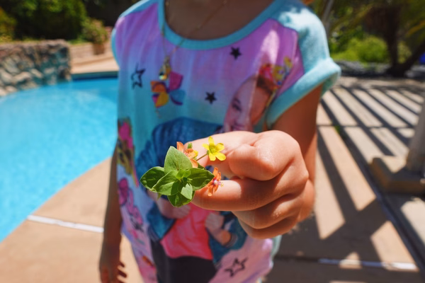Niece picking flowers