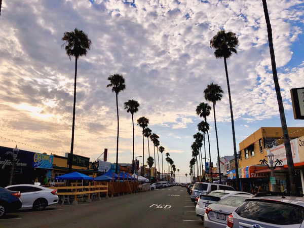 A street lined with palm trees