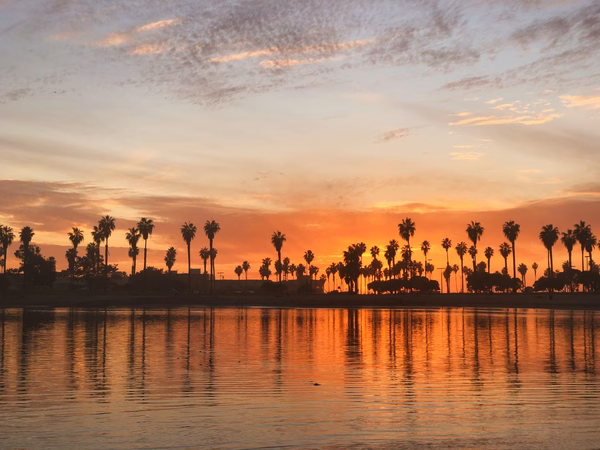 Palm trees in silhouette with a sunset behind them and their reflections in the water in the foreground