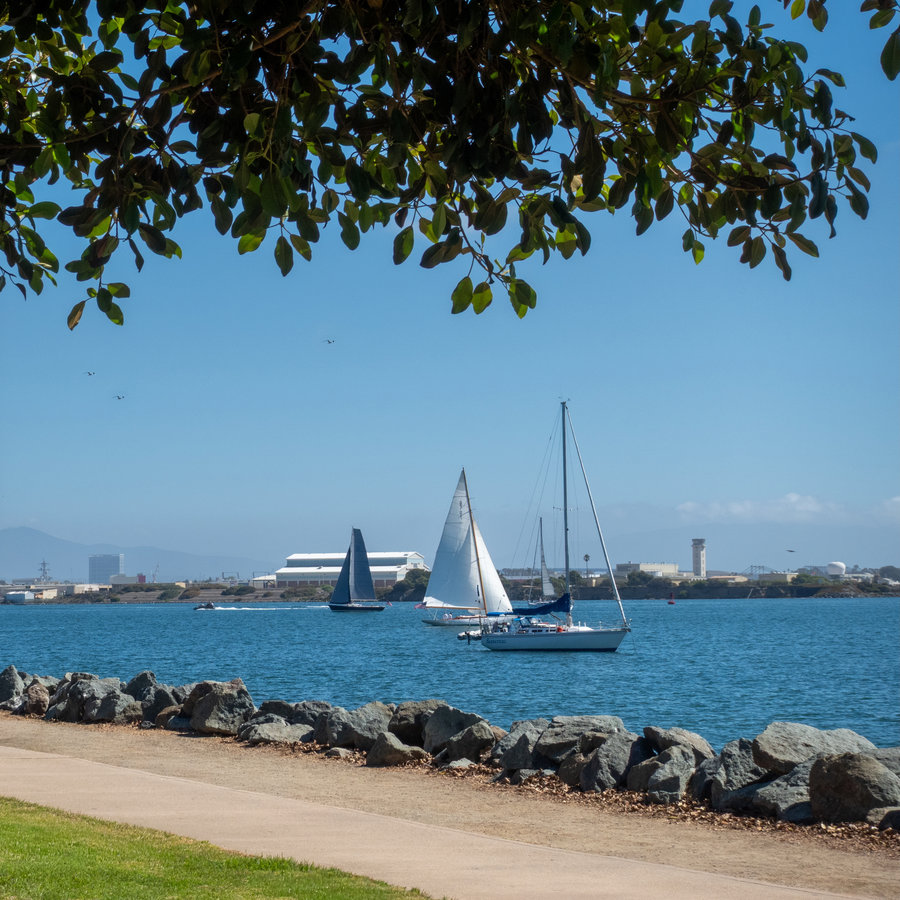 A view of the San Diego harbor from Shelter Island, with boats sailing on the water.